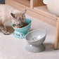 Raised Cat Bowl for Dry Wet Cat Food, Ceramic Elevated Pet Bowl Cat Dish, Protect Cat&