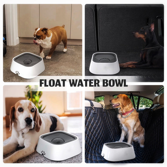 LuverPaws | Pet Water Bowl