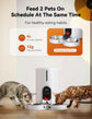 LuverPaws | Automatic Cat Feeders for 2 Cats